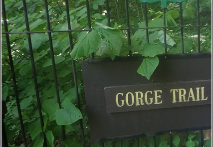 Treman State Park - Buttermilk Falls - Howe - Secret Caverns 020