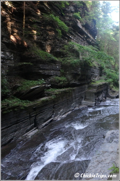 Treman_State_Park_-_Buttermilk_Falls_-_Howe_-_Secret_Caverns_028.jpg