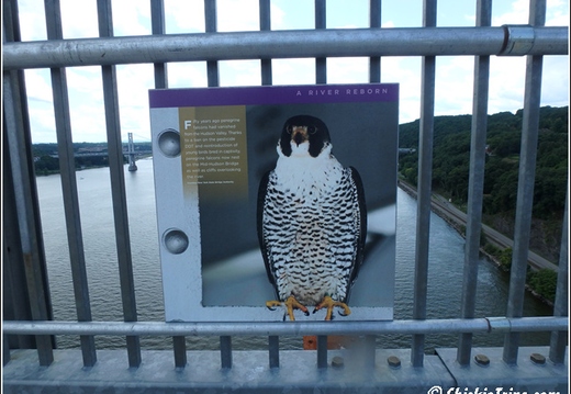 Walkway Over the Hudson State Historic Park 013