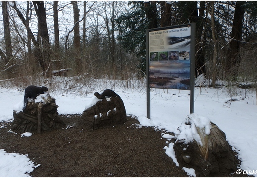 OH Peninsula - Cuyahoga Valley National Park 211