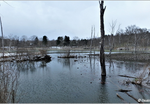 OH Peninsula - Cuyahoga Valley National Park 212