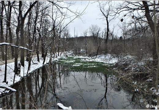 OH Peninsula - Cuyahoga Valley National Park 220