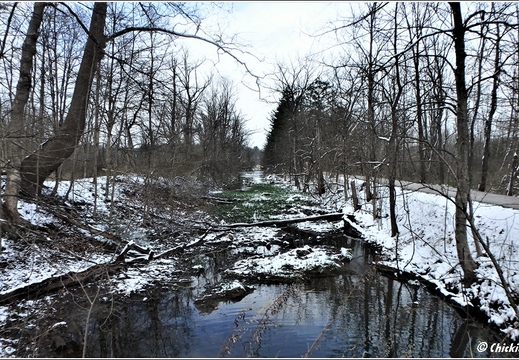 OH Peninsula - Cuyahoga Valley National Park 221