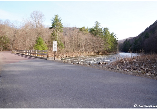 PA Forksville - Worlds End State Park 231