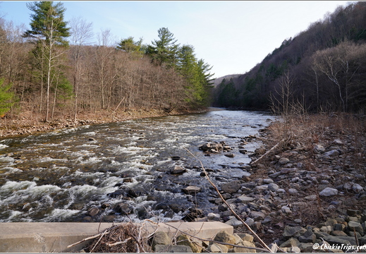 PA Forksville - Worlds End State Park 232
