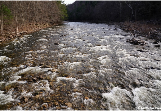 PA Forksville - Worlds End State Park 234