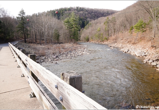 PA Forksville - Worlds End State Park 236