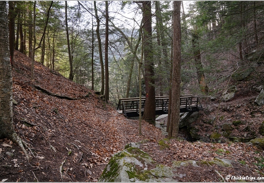 PA Forksville - Worlds End State Park 240