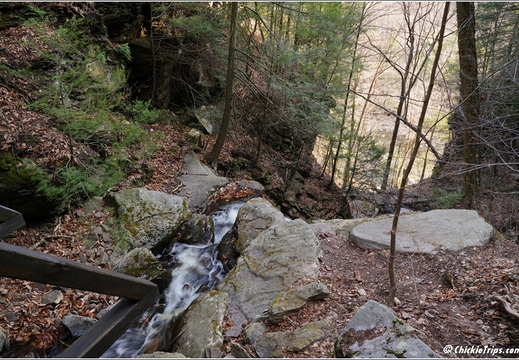PA Forksville - Worlds End State Park 241