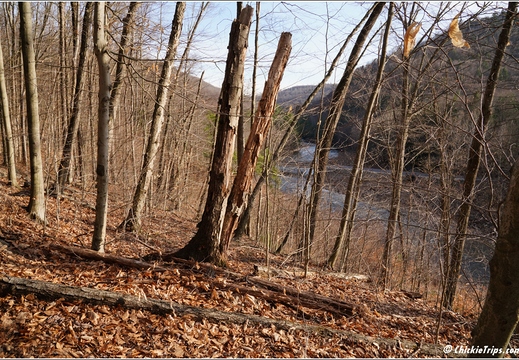 PA Forksville - Worlds End State Park 247