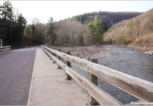 PA Forksville - Worlds End State Park 253
