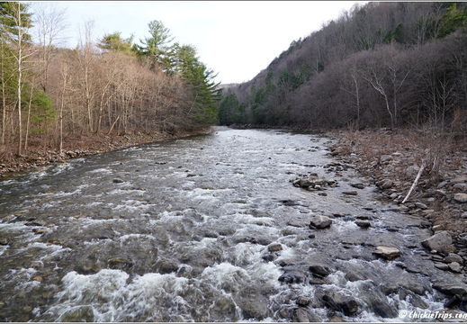 PA Forksville - Worlds End State Park 254