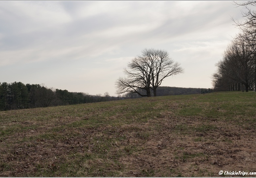 PA King of Prussia - Valley Forge National Historical Park 275