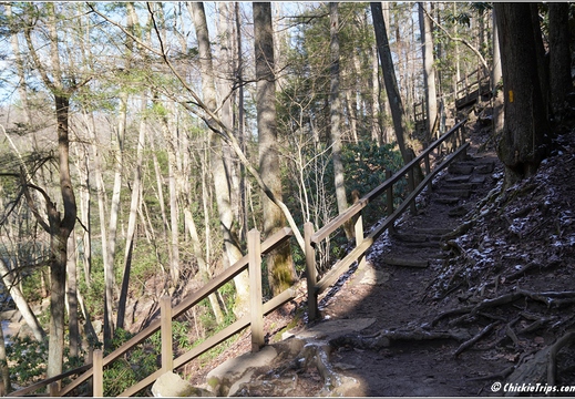 PA Ohiopyle - Ohiopyle State Park 318
