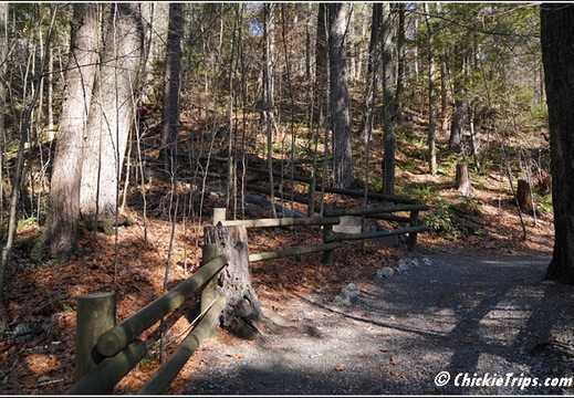 PA Raymondskill Falls - Milford Pennsylvania 00280