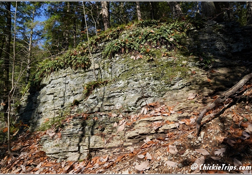 PA Raymondskill Falls - Milford Pennsylvania 00283