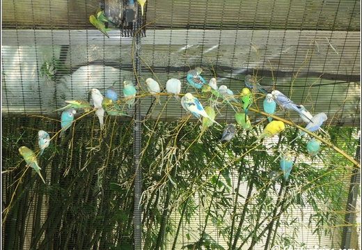 Clyde Peelings Reptiland 006