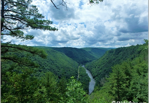Colton Point State Park - PA Grand Canyon 001