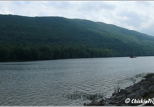 Susquehanna River 008