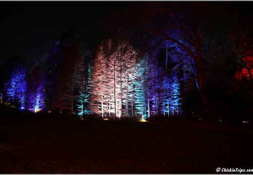Pennsylvania - Longwood Gardens 2021 005