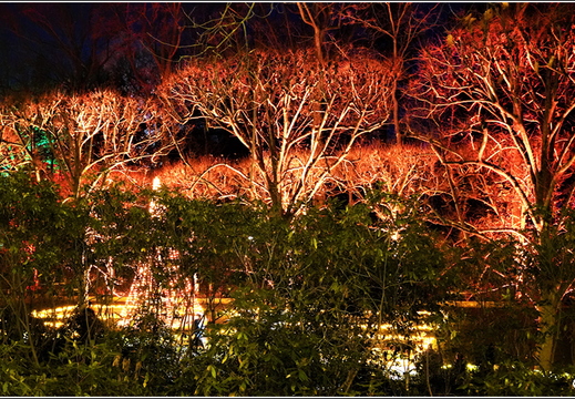 Pennsylvania - Longwood Gardens 2021 011