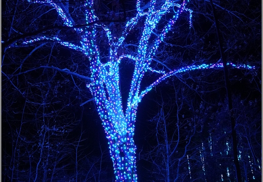 Pennsylvania - Longwood Gardens 2021 013
