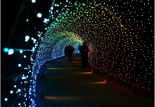Pennsylvania - Longwood Gardens 2021 017