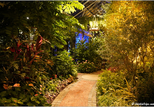 Pennsylvania - Longwood Gardens 2021 031