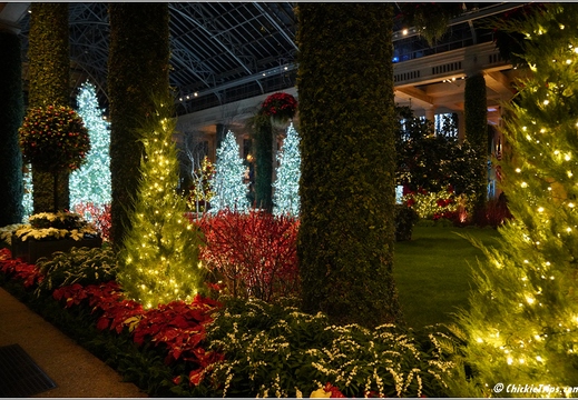 Pennsylvania - Longwood Gardens 2021 046