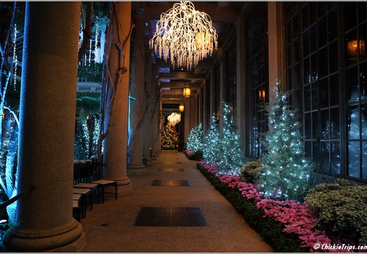 Pennsylvania - Longwood Gardens 2021 057