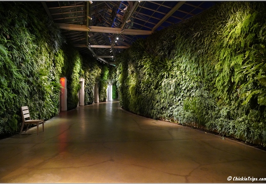 Pennsylvania - Longwood Gardens 2021 080
