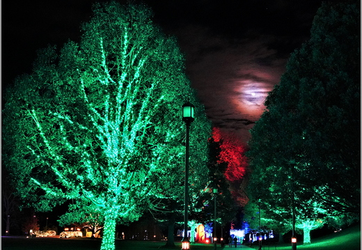 Pennsylvania - Longwood Gardens 2021 084