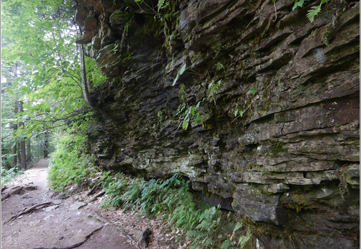 Ricketts Glen State Park 0027