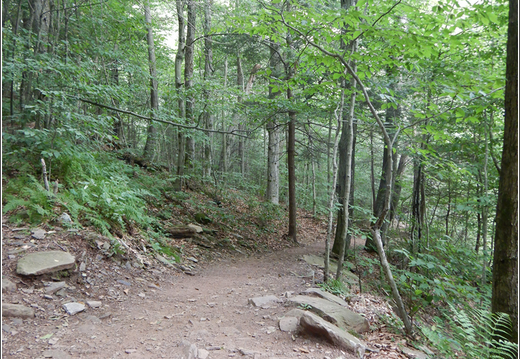 Ricketts Glen State Park 0029