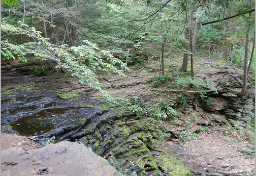 Ricketts Glen State Park 0030