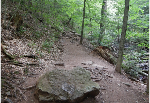 Ricketts Glen State Park 0033