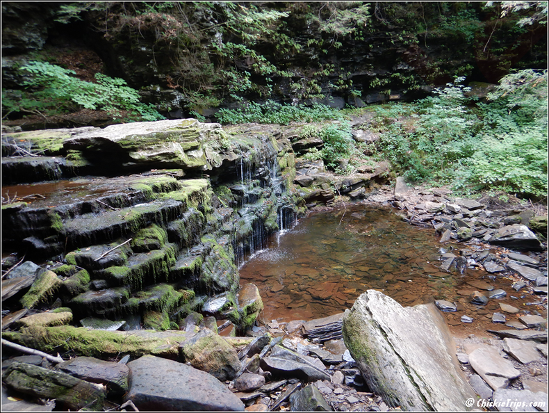 Ricketts_Glen_State_Park_0035.png