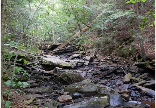 Ricketts Glen State Park 0039