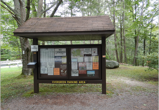 Ricketts Glen State Park 0046