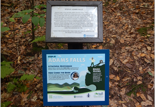 Ricketts Glen State Park 0048