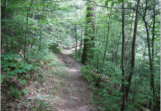 Ricketts Glen State Park 0055