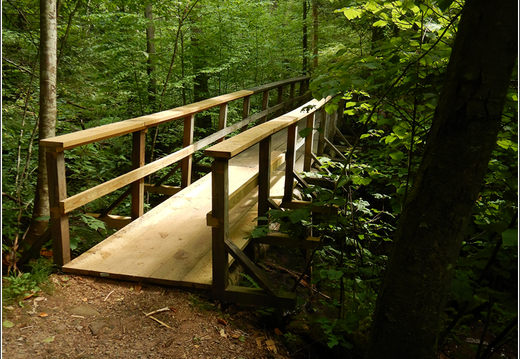 Ricketts Glen State Park 0056