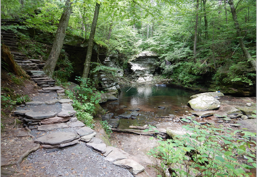 Ricketts Glen State Park 0064