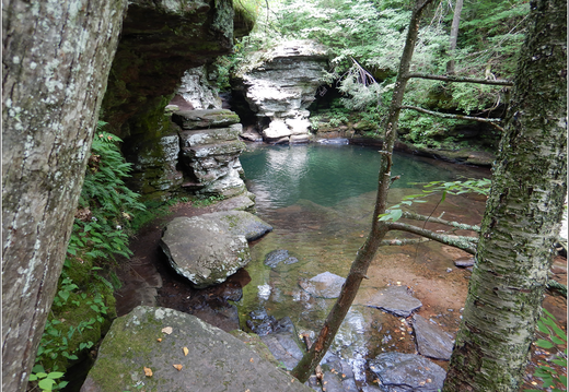 Ricketts Glen State Park 0065