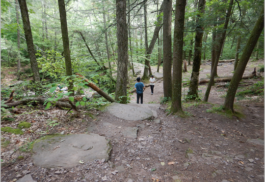 Ricketts Glen State Park 0066