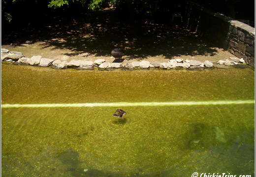 Philly Zoo 005