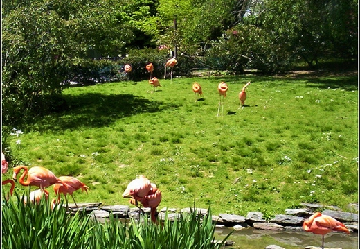 Philly Zoo 006