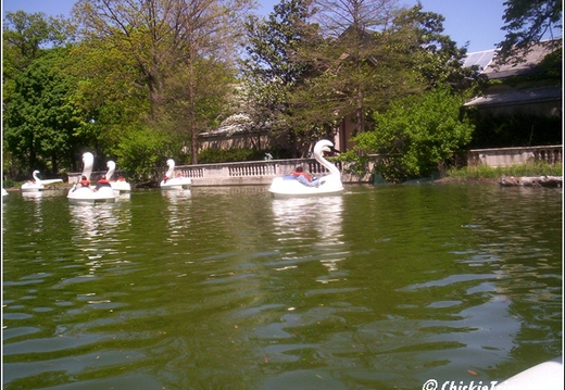 Philly Zoo 009