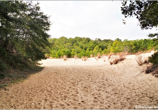 North Carolina - Outer Banks - Jockey Ridge State Park - Day 8 004