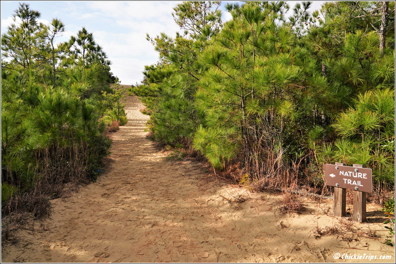 North_Carolina_-_Outer_Banks_-_Jockey_Ridge_State_Park_-_Day_8_007.jpg